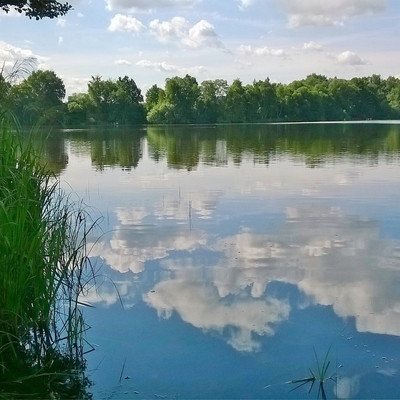 Сваровская акватория